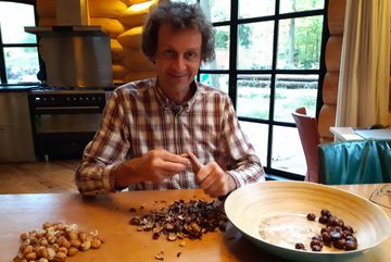 Tamme kastanjes uit het bos Arnoud pelt tamme kastanjes
